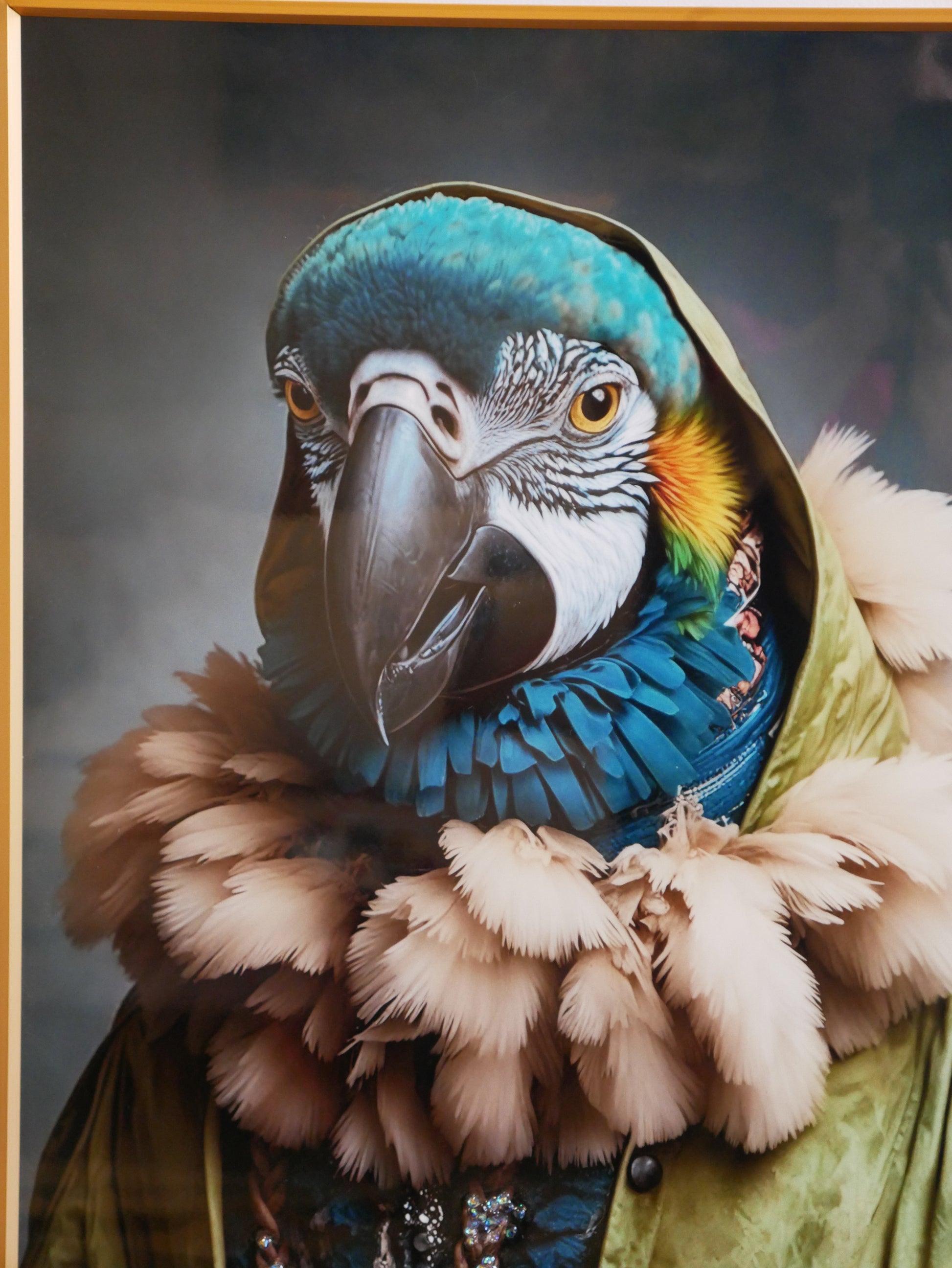 The Parrot Prince – Style with Feathers & Flair Crystal wall art|40x60cm