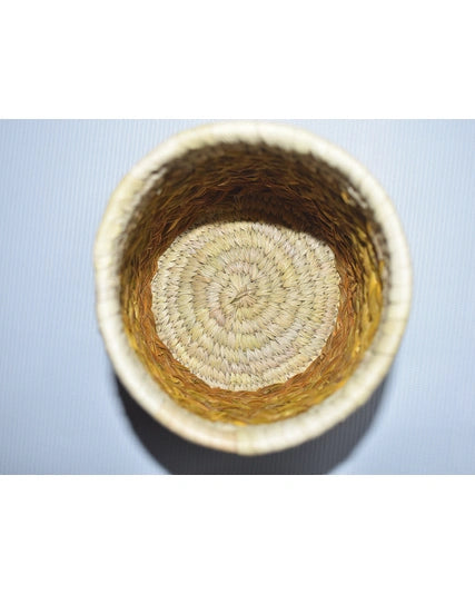 Sabai Grass Pen Stand | Planter Goodlyfe