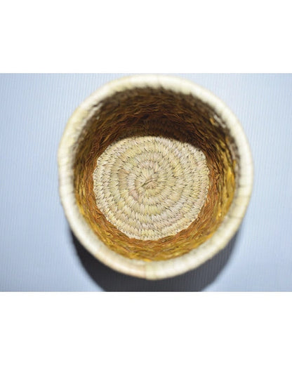 Sabai Grass Pen Stand | Planter Goodlyfe