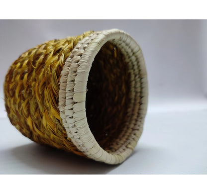 Sabai Grass Pen Stand | Planter Goodlyfe