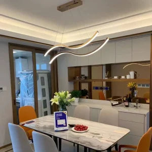 Abstract  Spiral Pendant Light with 3 in 1 CCT Remote (Size Customization Available)